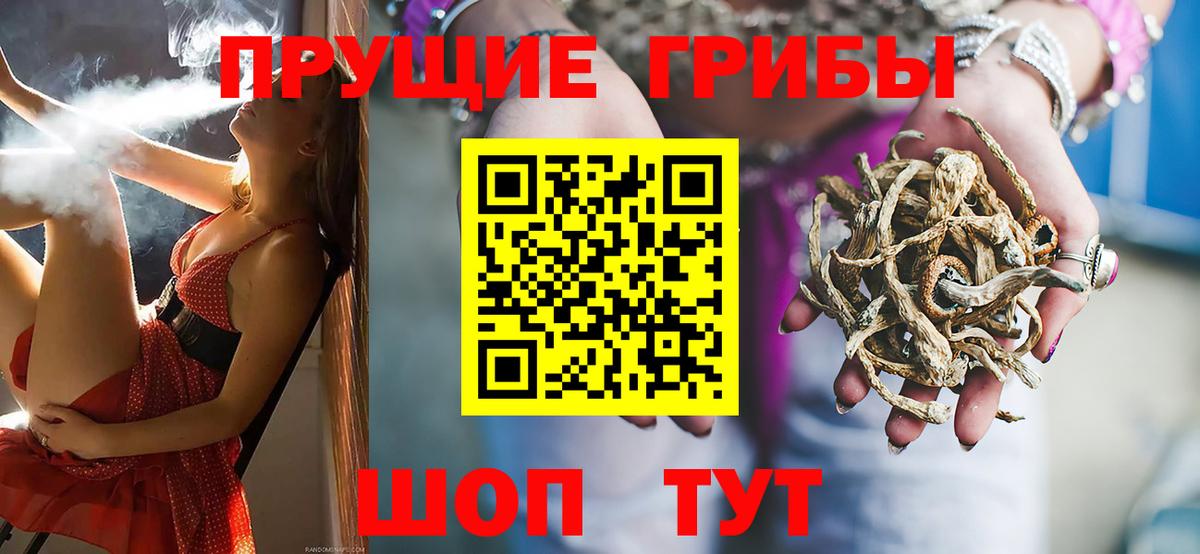 Псилоцибиновые грибы ЛСД Вятские Поляны